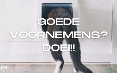 Goede Voornemens!?  Doei!!